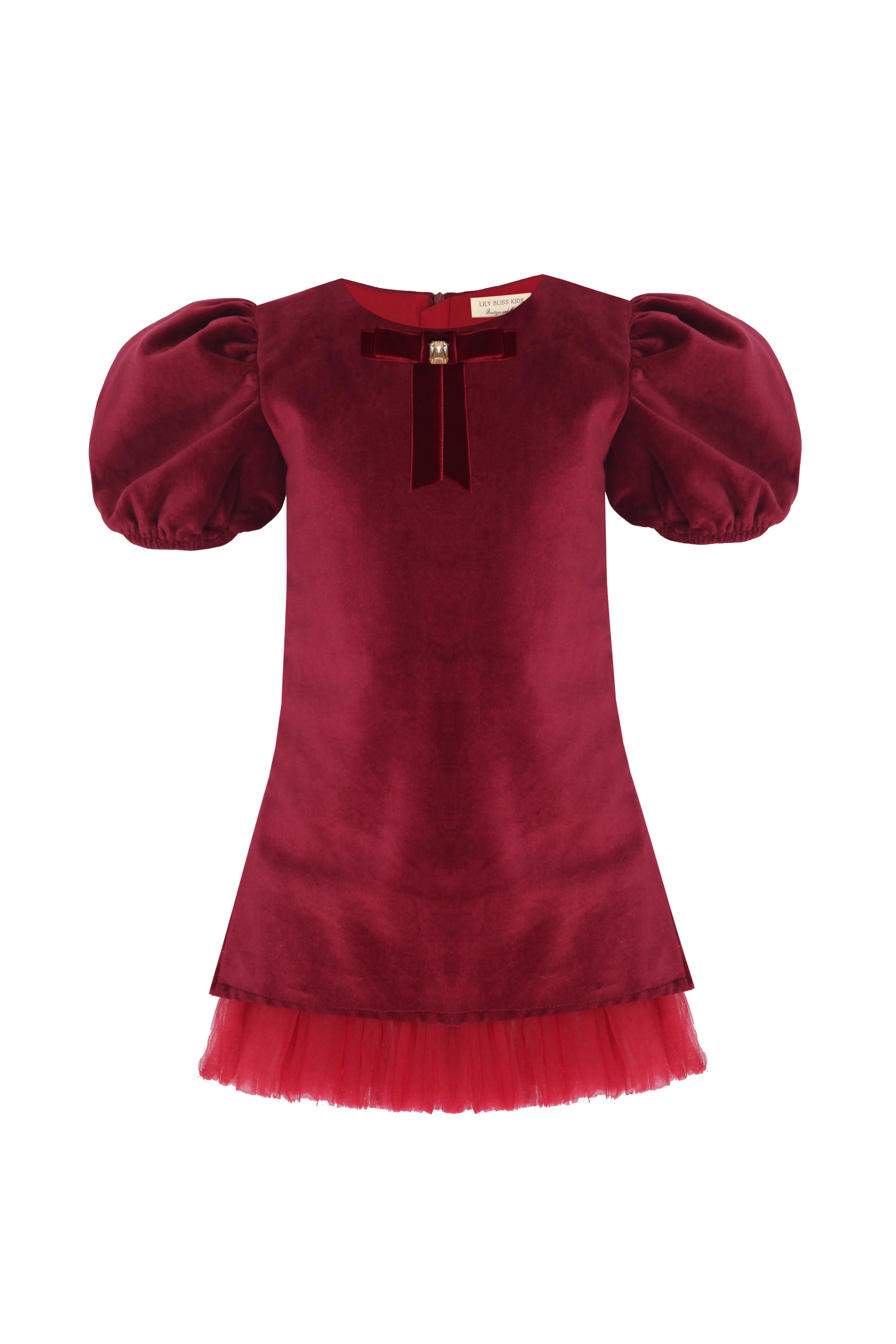 Carolina Velvet Dress