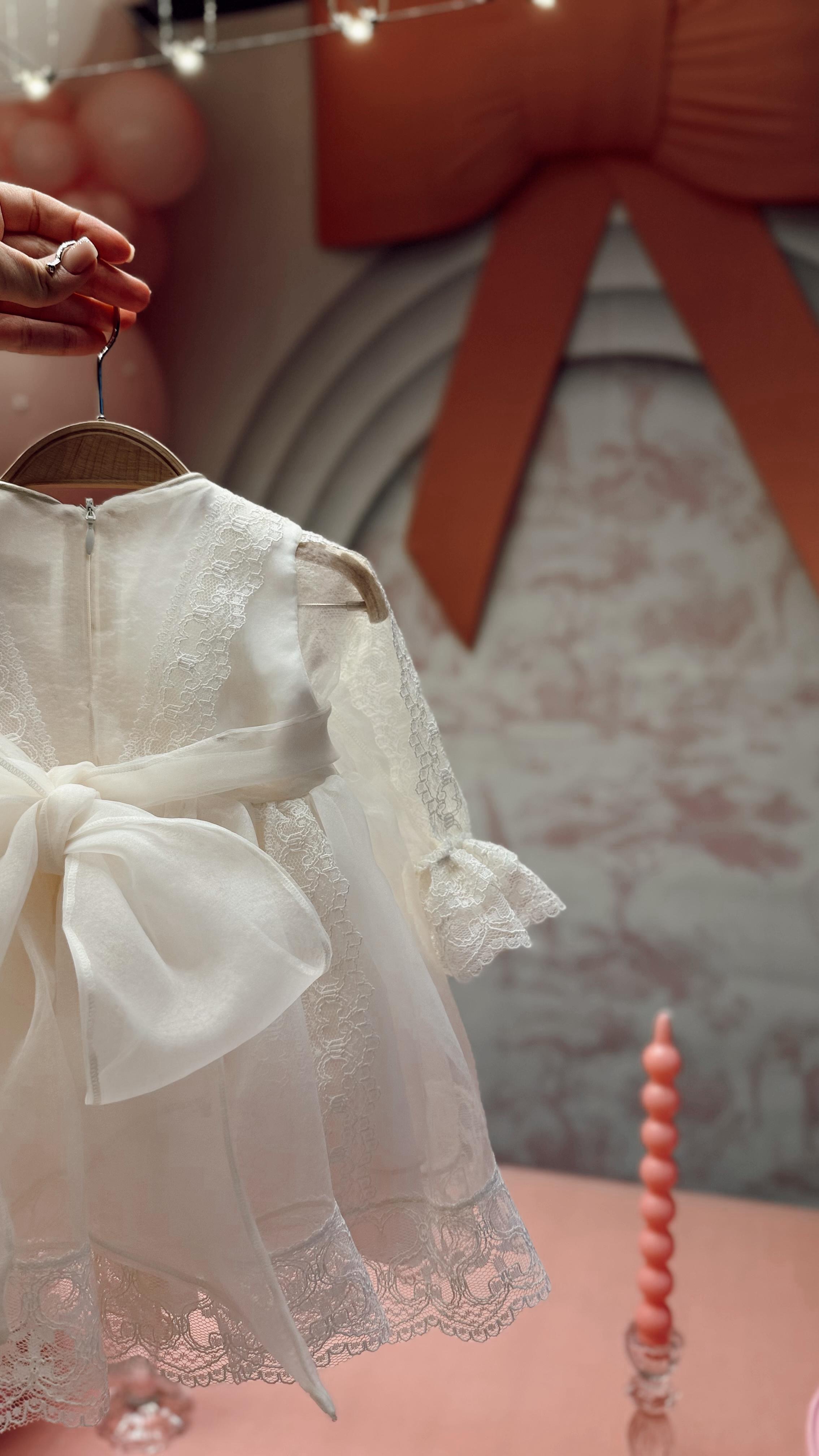 Aisha Silk Organze Dress